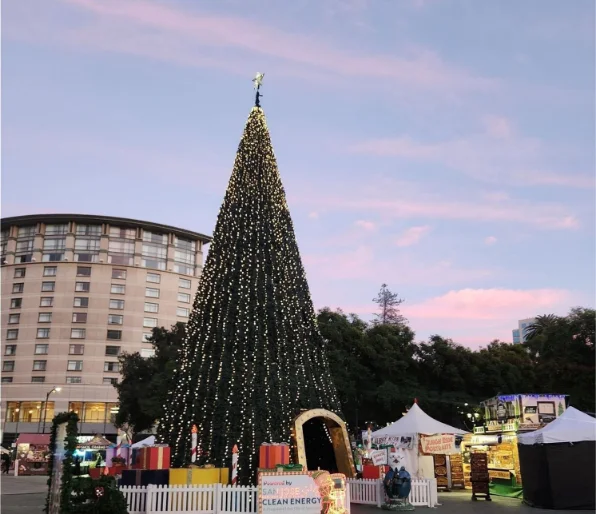 decorated Christmas tree at Christmas in the park